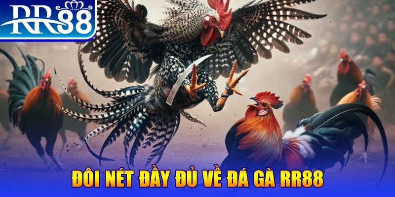 ae888 gà chọi hoà phong