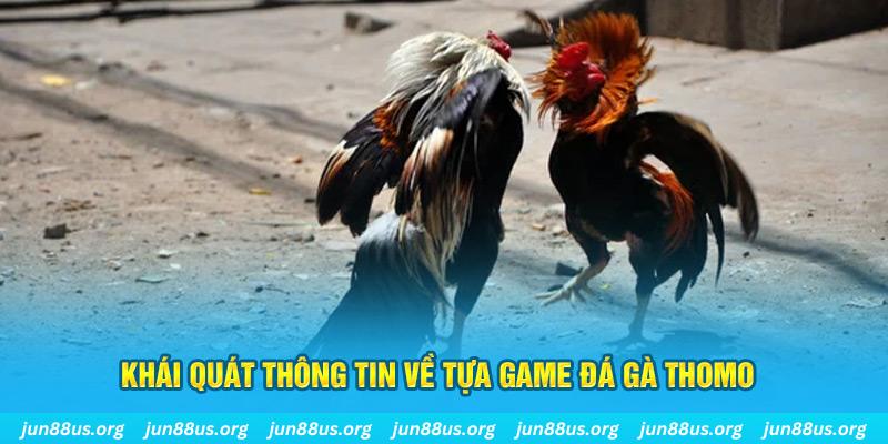 ae888 bản tình ca mùa đông